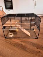 Dieren kooi glas, Dieren en Toebehoren, Kooi, Gebruikt, Minder dan 75 cm, Ophalen