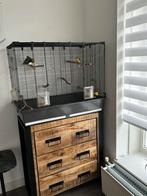 Vogelkooi, Dieren en Toebehoren, Ophalen of Verzenden, Zo goed als nieuw, Metaal, Vogelkooi