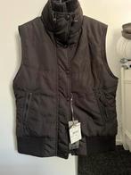 Bodywamer te koop,maat M ( NIEUW, Kleding | Dames, Bodywarmers, Ophalen of Verzenden, Nieuw, Maat 38/40 (M), Bruin