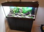 complete juwel rio 180 led met toebehoren en inrichting, Dieren en Toebehoren, Vissen | Aquaria en Toebehoren, Ophalen, Zo goed als nieuw