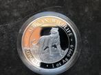 2022 Somalia - Leopard - 1 oz silver LAATSTE, Ophalen of Verzenden, Zilver