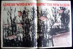 GENESIS 1977 originele Advertentie WIND & WUTHERING 65 x 44, Gebruikt, Ophalen of Verzenden, Poster, Artwork of Schilderij