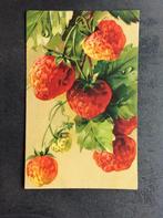 Eten, Aardbeien, Verzamelen, Ansichtkaarten | Themakaarten, Verzenden, 1920 tot 1940, Ongelopen, Overige thema's