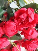 PRACHTIGE BLOEMSTEEL PIOENROZEN - ROOD, Ophalen of Verzenden, Nieuw