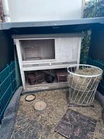 Cavia/konijnen hok, Dieren en Toebehoren, Knaagdieren en Konijnen | Hokken en Kooien, Minder dan 60 cm, Gebruikt, Cavia, Ophalen of Verzenden
