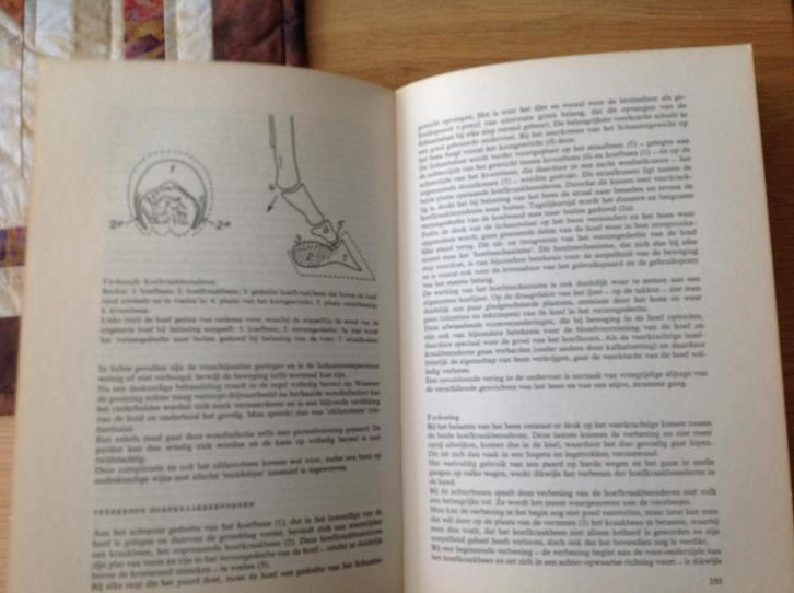 Gezondheid /ziekte van paarden /pony's (Slob) standaardwerk, Dieren en Toebehoren, Paarden en Pony's | Overige Paardenspullen