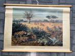 Aan de rand der Kalahari, Ophalen of Verzenden, Natuur en Biologie