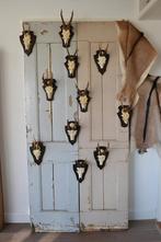 5x ree gewei, jachttrofee op schild BLOSSOM BROCANTE, Ophalen of Verzenden, Gebruikt