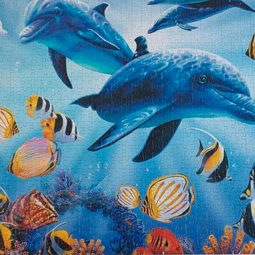 Div puzzels beschikbaar voor biedingen
