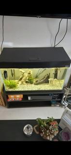 Nog een hele mooie aquarium, Dieren en Toebehoren, Vissen | Aquaria en Toebehoren, Ophalen, Zo goed als nieuw, Verlichting of Verwarming