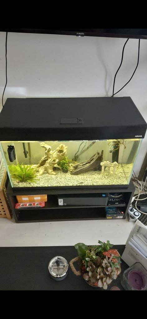 Nog een hele mooie aquarium, Dieren en Toebehoren, Vissen | Aquaria en Toebehoren, Zo goed als nieuw, Verlichting of Verwarming