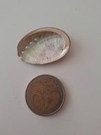 Abalone Schelp - Decoratief, Ophalen, Gebruikt, Overige soorten, Overige typen