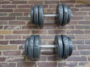 Dumbellset Physionics 30 kg 2 x set van 15kg beschikbaar voor biedingen