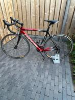 Race fiets, Gebruikt, 15 tot 20 versnellingen, 53 tot 57 cm, Ophalen