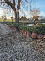 Gratis bloembakken, bloemenvaas, tuin, Ophalen of Verzenden, Gebruikt