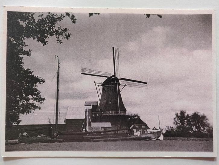 S1428 Molen, Verzamelen, Foto's en Prenten, Gebruikt, Overige onderwerpen, Voor 1940, Ophalen of Verzenden
