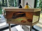 Luxe reptielen of knaagdierenverblijf, Dieren en Toebehoren, Ophalen, Zo goed als nieuw, Terrarium of Paludarium