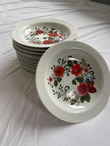 Royal Schwabap Servies Jaren '60/'70 beschikbaar voor biedingen