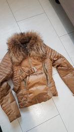 Z.G.A.N. Winterjas maat XS goudkleurig merk glamorous, Ophalen of Verzenden, Zo goed als nieuw, Maat 34 (XS) of kleiner, Overige kleuren