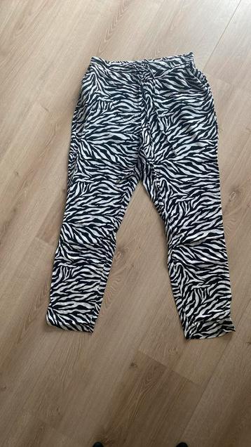Leuke broek met zebraprint beschikbaar voor biedingen