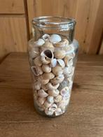 Glazen vaas met schelpen - Decoratief, Ophalen, Overige kleuren, Minder dan 50 cm, Glas