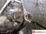 Kreidler 4 bak indirect voor onderdelen trapas, Gebruikt, Ophalen of Verzenden