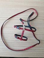 Kittentuigje, Dieren en Toebehoren, Katten-accessoires, Ophalen of Verzenden, Zo goed als nieuw