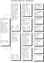 22 Top kweker van postduiven met zeer goede afstamming, Mannelijk, Postduif