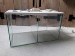 Glazen terrarium, Ophalen, Gebruikt, Terrarium of Paludarium
