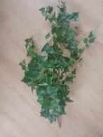 Kunst - Hedera / klimop- decoratie, Ophalen of Verzenden, Nieuw, Binnen