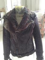 Bruine winterjas, biker, jacket gevoerd met teddy S zgan, Ophalen, Zo goed als nieuw, Maat 36 (S), Bruin