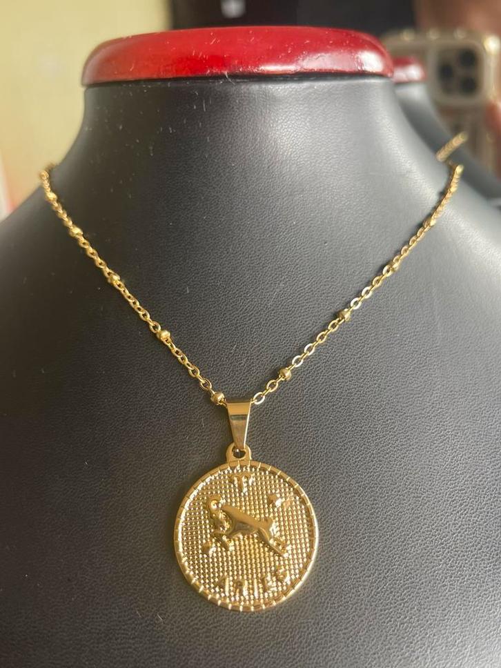 Prachtige ketting met sterrenbeeld hanger, aries, 18k rvs., Sieraden, Tassen en Uiterlijk, Kettingen, Nieuw, Overige materialen