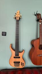 Alembic Orion 5, Muziek en Instrumenten, Snaarinstrumenten | Gitaren | Bas, Ophalen of Verzenden, Gebruikt, Elektrisch, 5-snarig