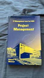 Remco Meisner - IT management voor het HBO, Ophalen of Verzenden, Zo goed als nieuw, Remco Meisner, Nederlands