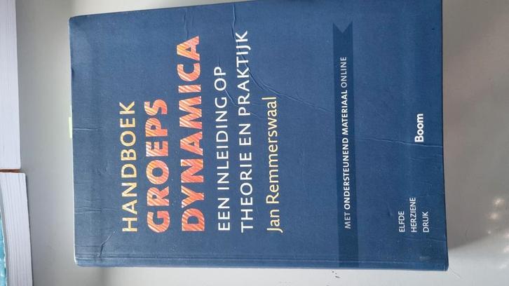Jan Remmerswaal - Handboek groepsdynamica, Boeken, Wetenschap, Zo goed als nieuw, Sociale wetenschap, Ophalen of Verzenden