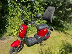 Prachtig electr E- scooter EvoMaxx, weinig km, extra rugsteu, Fietsen en Brommers, Snorfietsen en Snorscooters, Ophalen, Zo goed als nieuw