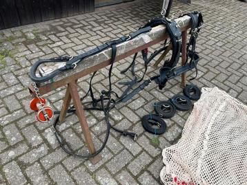 Paardenspullen beschikbaar voor biedingen