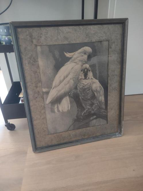 Cornelis Jan Mension 1882 1950 twee Kaketoes op een tak, Antiek en Kunst, Kunst | Etsen en Gravures, Ophalen of Verzenden