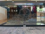 80 cm x 30 cm x 35cm aquarium aangeboden, Dieren en Toebehoren, Ophalen, Zo goed als nieuw