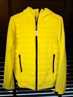 Raized Jasje Neon Geel - Maat 164 - Nieuw!, Ophalen of Verzenden, Nieuw, Overige maten, Geel