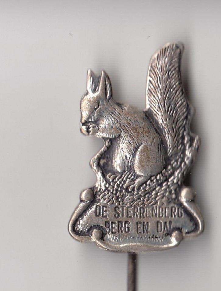 Berg en Dal Eekhoorn de Sterrenberg speldje, Verzamelen, Speldjes, Pins en Buttons, Gebruikt, Speldje of Pin, Overige onderwerpen