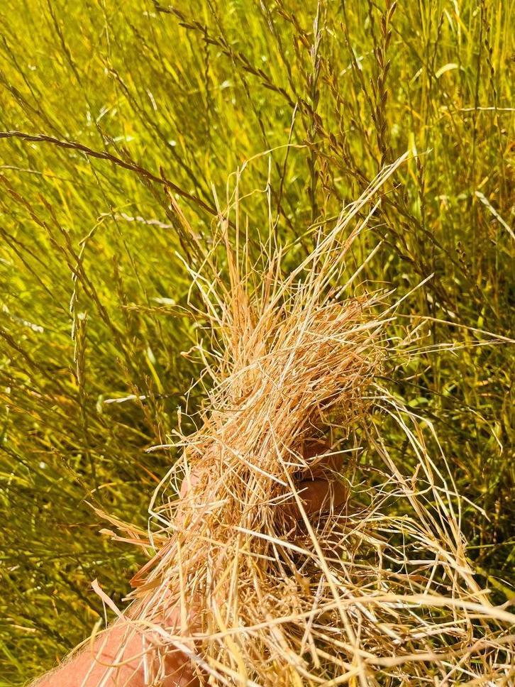 kleine balen prachtig mooi weide hooi! Met analyse., Dieren en Toebehoren, Dierenvoeding, Vee, Ophalen of Verzenden