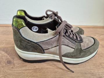 Sch155 - Groen-bruine leren Xsensible schoenen maat 39 (1) beschikbaar voor biedingen