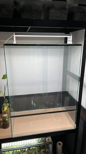 Nieuw terrarium 60x40x80 beschikbaar voor biedingen