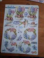 6 knipvellen, Ophalen of Verzenden, Nieuw, Overige thema's, Knipvel