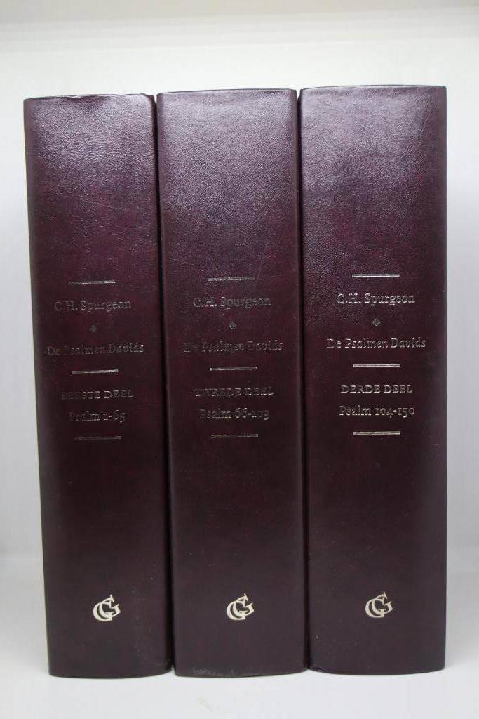 De psalmen Davids - C.H. Spurgeon, Boeken, Godsdienst en Theologie, Gelezen, Ophalen of Verzenden
