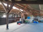 Stalling Goeree-Overflakkee, Dieren en Toebehoren, Stalling en Weidegang, Weidegang, 2 of 3 paarden of pony's