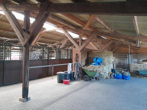 Stalling Goeree-Overflakkee, Dieren en Toebehoren, Stalling en Weidegang, Stalling, Weidegang, 2 of 3 paarden of pony's