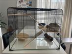 Hamsterkooi / hamsterhok, Kooi, Gebruikt, Minder dan 75 cm, Hamster