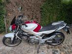 Suzuki SFV650 Gladius, wit roze, Motoren, Motorrijbewijs A, Particulier, Meer dan 35 kW, 650 cc
